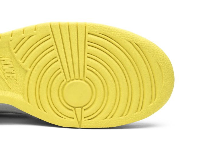 Кроссовки Nike Dunk High Premium 'Thrashin'