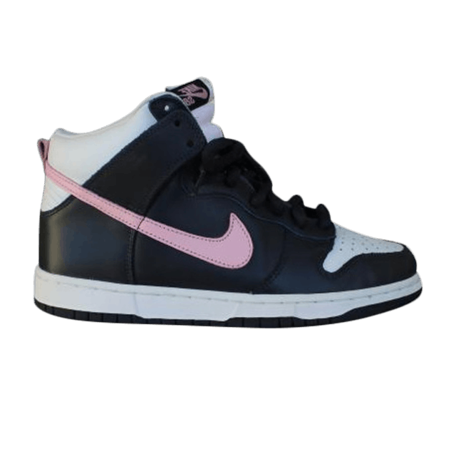 dunk-high-pro-sb-305050-461