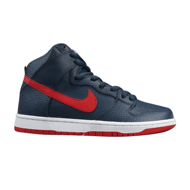 dunk-high-pro-sb-305050-463