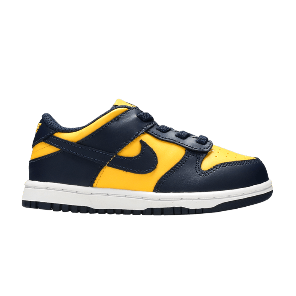 dunk-low-td-michigan-2021-cw1589-700