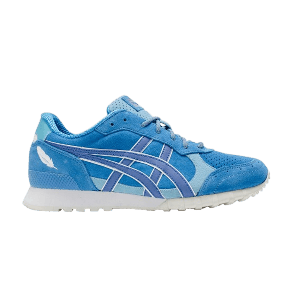 end-x-colorado-eighty-five-bluebird-d50tk-4958
