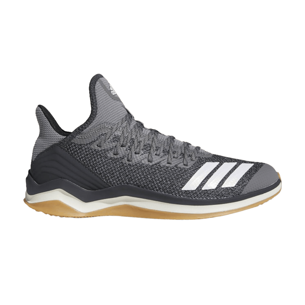 icon-4-trainer-grey-gum-cg5271