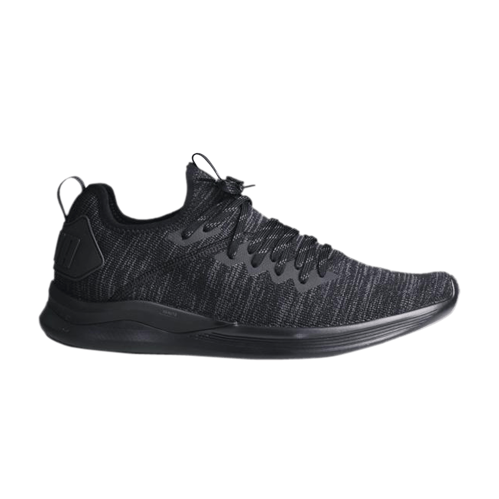 Кроссовки Puma Ignite Flash EvoKnit 'Black Asphalt'