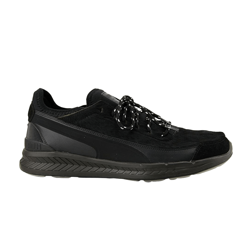 ignite-sock-camping-black-361459-01