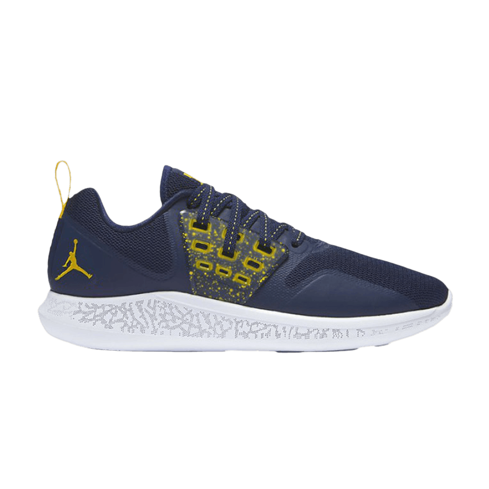 Кроссовки Air Jordan Grind 'Michigan Wolverines'