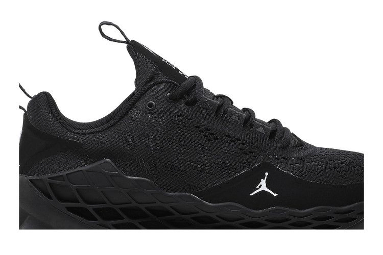 Кроссовки Air Jordan Zoom Trunner Advance 'Black Cat'