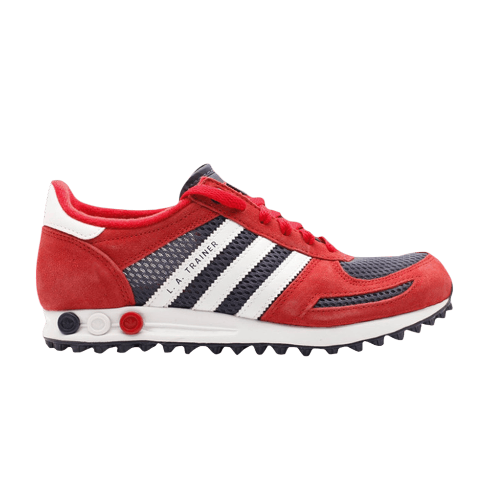 la-trainer-undefeated-g19849