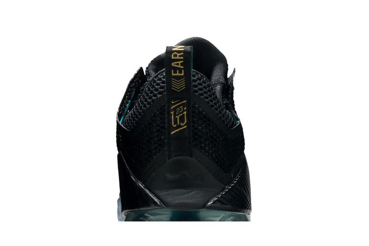 Кроссовки Nike LeBron 12 Low 'Carbon Fiber'