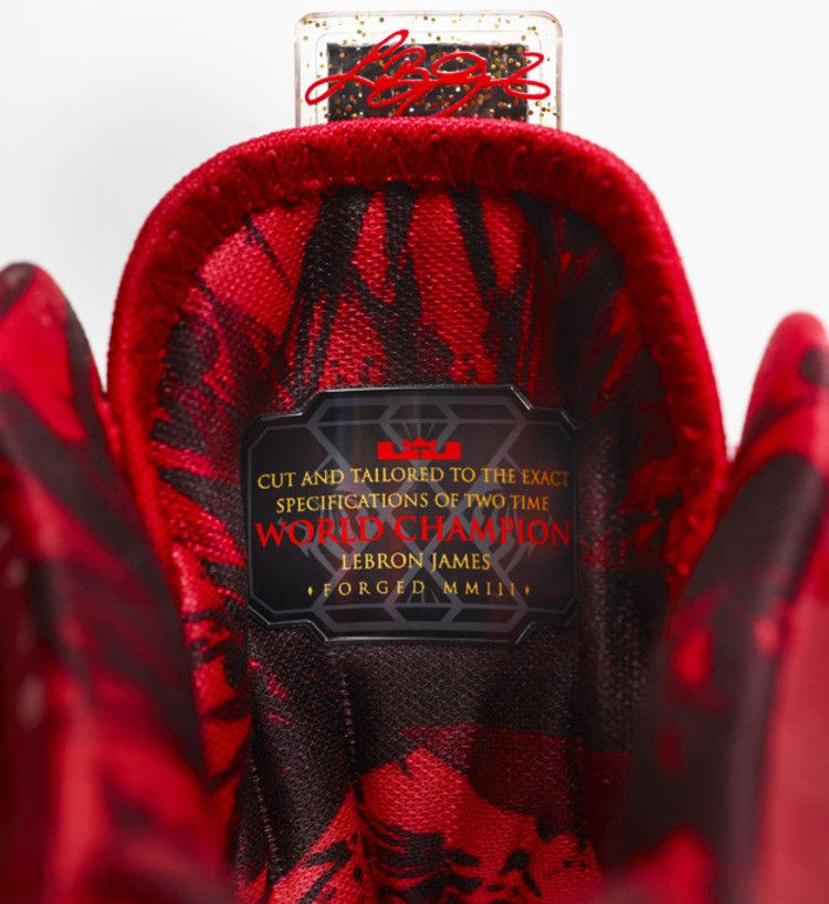 Кроссовки Nike LeBron 'Celebration Pack'