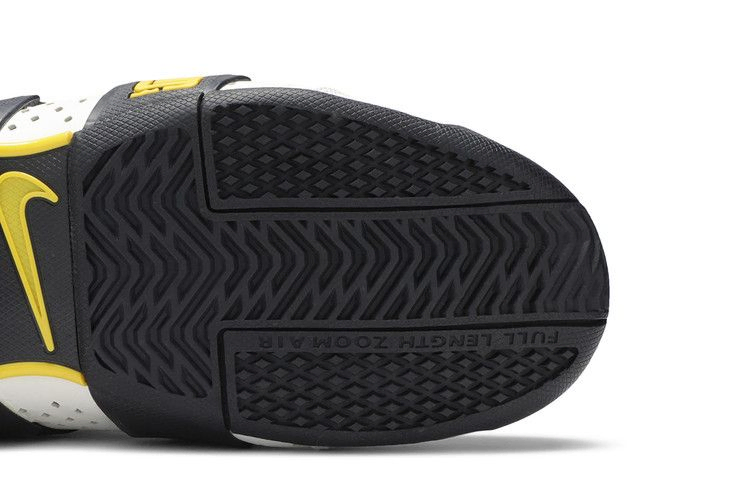 Кроссовки Nike LeBron Zoom 20-5-5 'White Black'