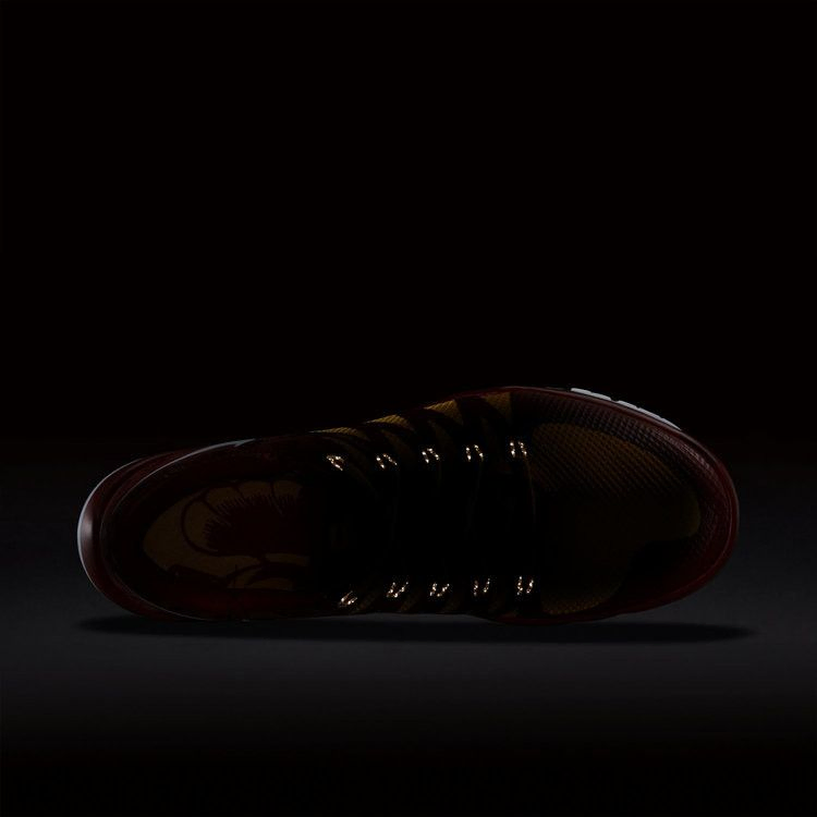 Кроссовки Nike Free Trainer 5.0 V6 AMP 'USC'