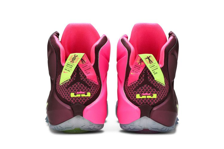 Кроссовки Nike LeBron 12 'Double Helix'