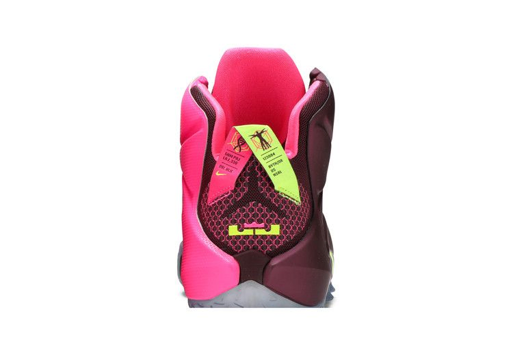 Кроссовки Nike LeBron 12 'Double Helix'