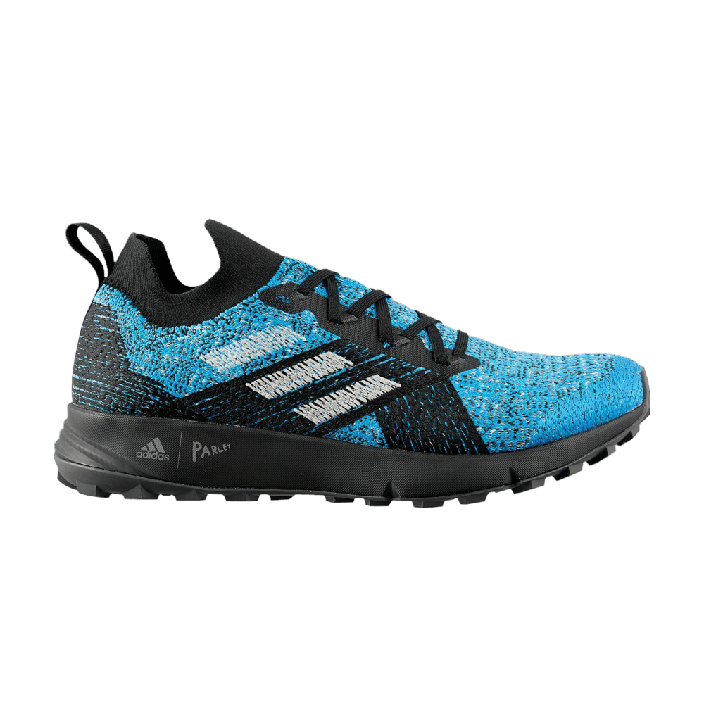 Кроссовки adidas Terrex Two Primeblue 'Blue'