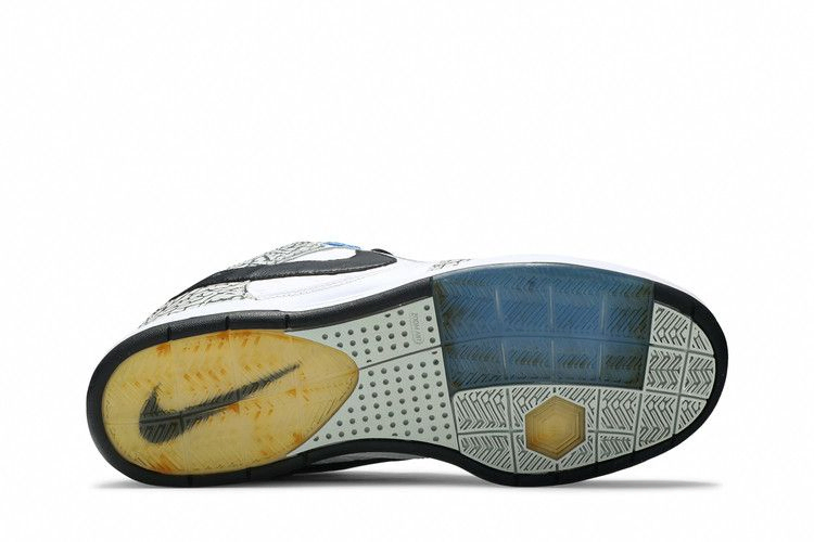 Кроссовки Nike Paul Rodriguez 2 Premium