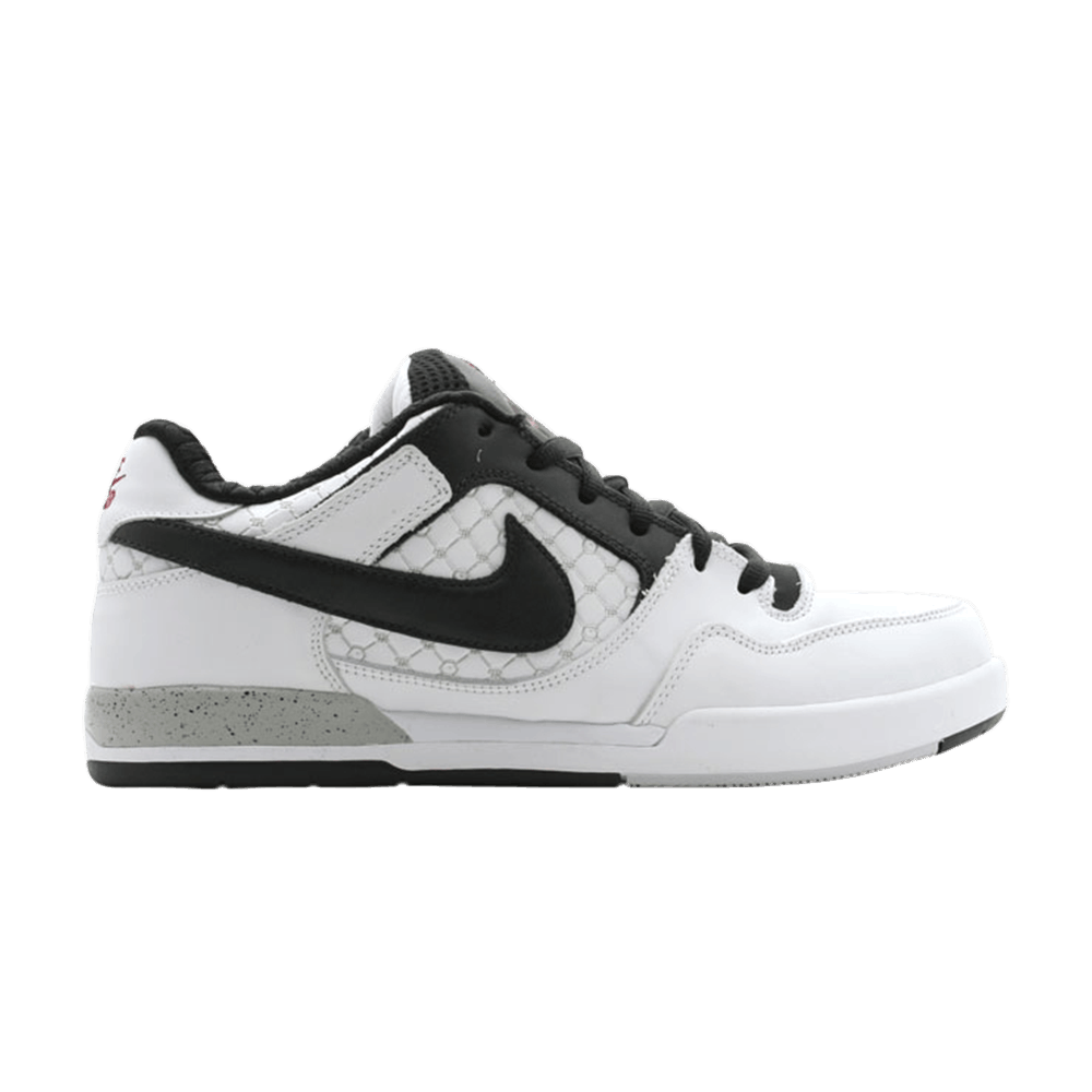 paul-rodriguez-2-zoom-air-315459-101