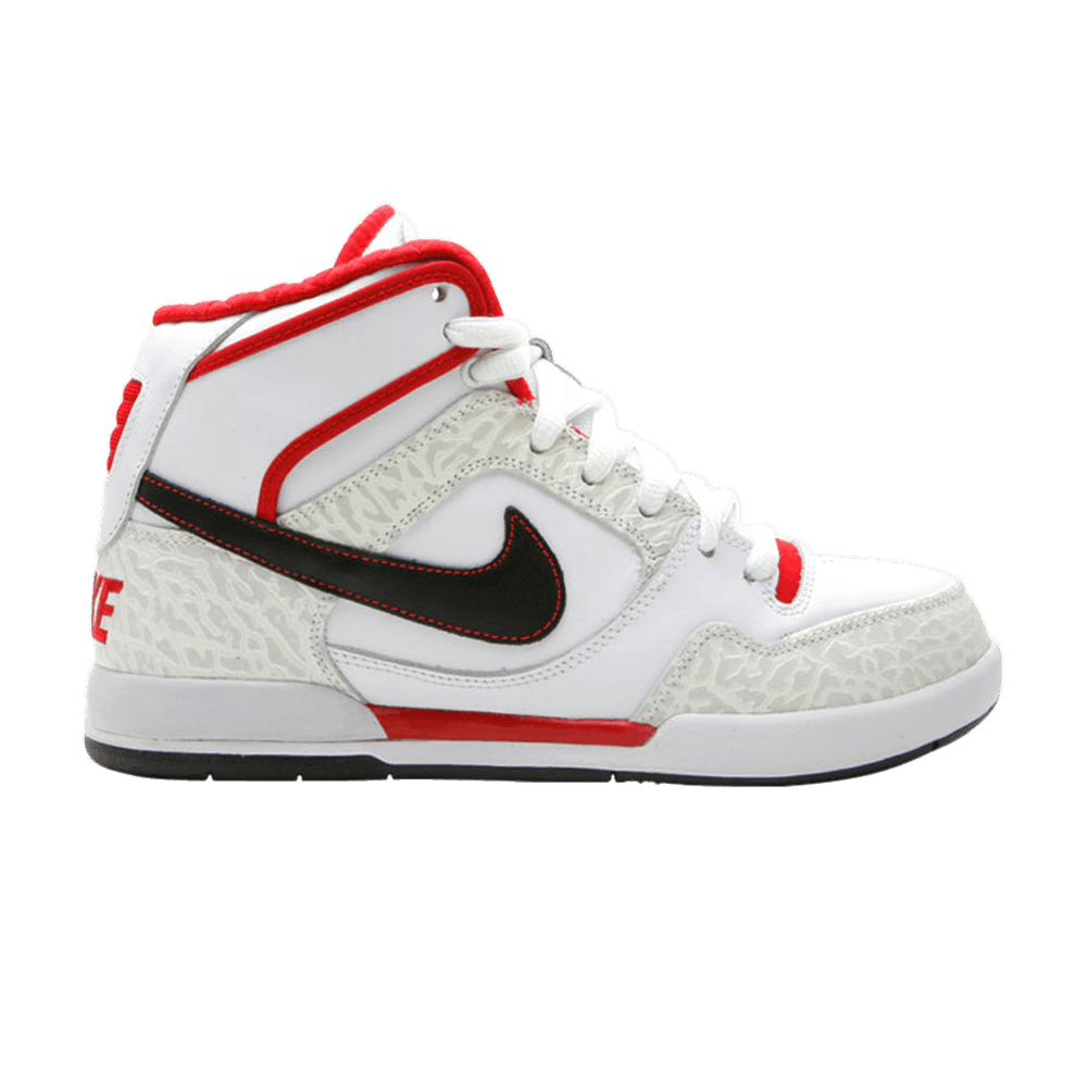 paul-rodriguez-2-zoom-air-high-325022-161