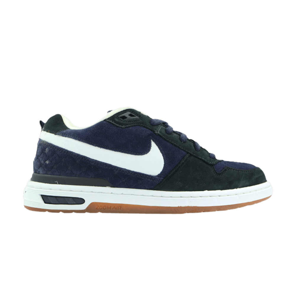 paul-rodriguez-zoom-air-low-310802-511