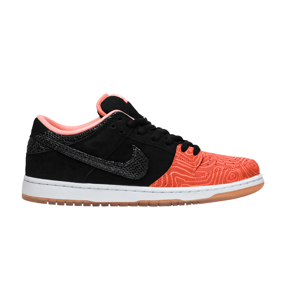 premier-x-dunk-low-pro-sb-fish-ladder-313170-603