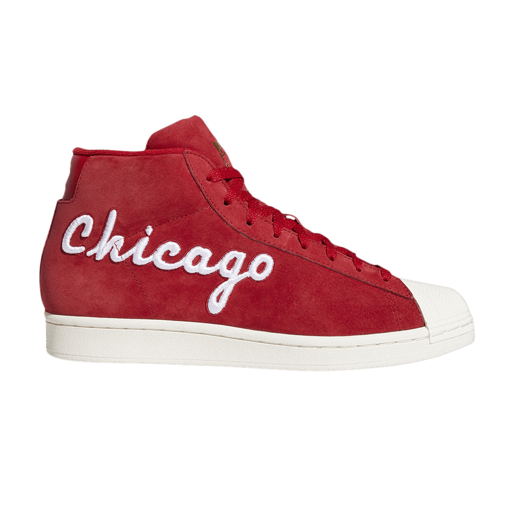 pro-model-chicago-fv4485