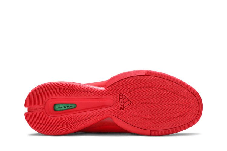 Кроссовки adidas D Lillard 1 'Florist City'