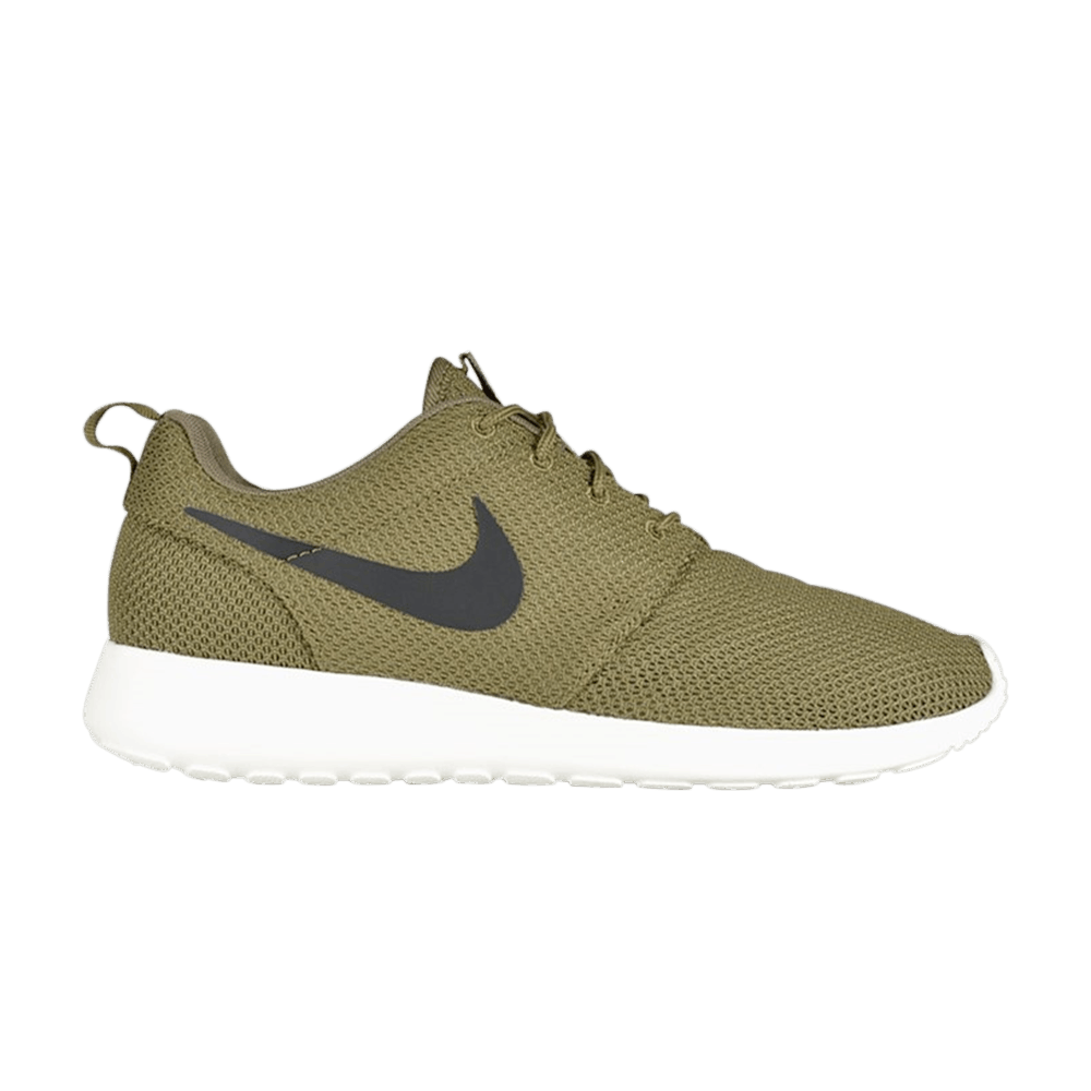 roshe-run-iguana-511881-201