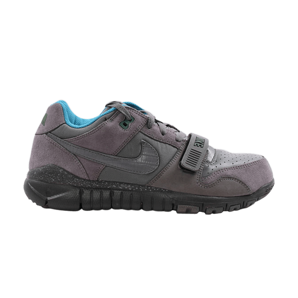trainer-dunk-low-cool-grey-316590-002