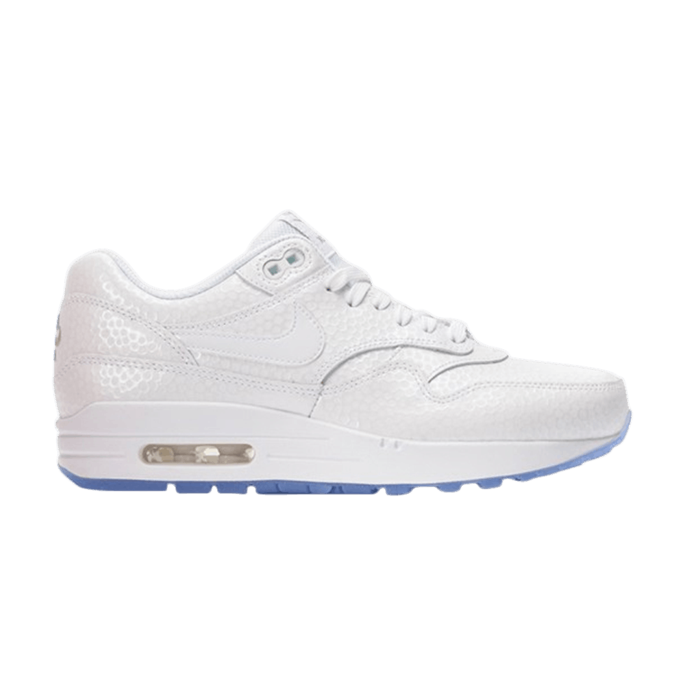 wmns-air-max-1-premium-ice-pack-454746-106