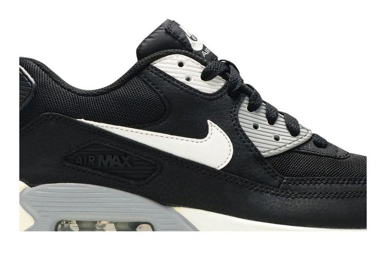 Кроссовки Nike Wmns Air Max 90 Essential 'Black Wolf Grey'