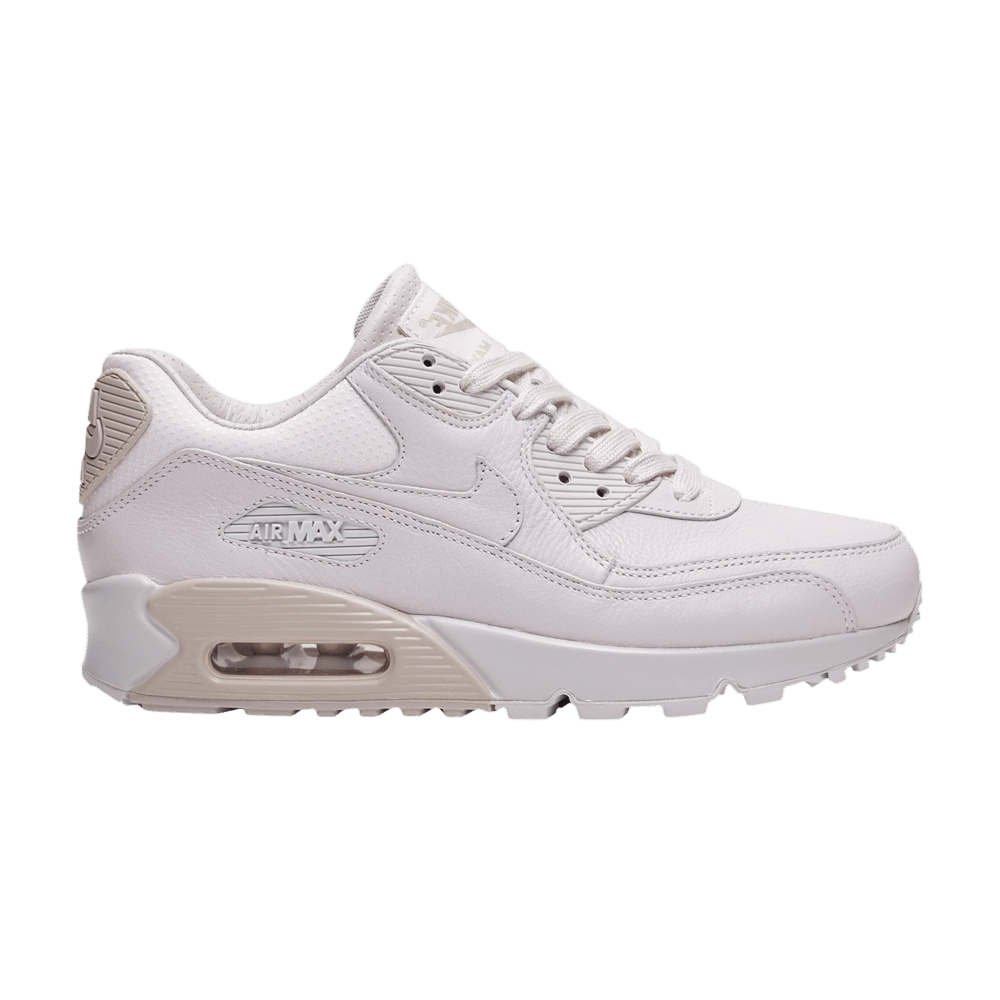 Кроссовки Nike Wmns Air Max 90 Pinnacle 'Venice'