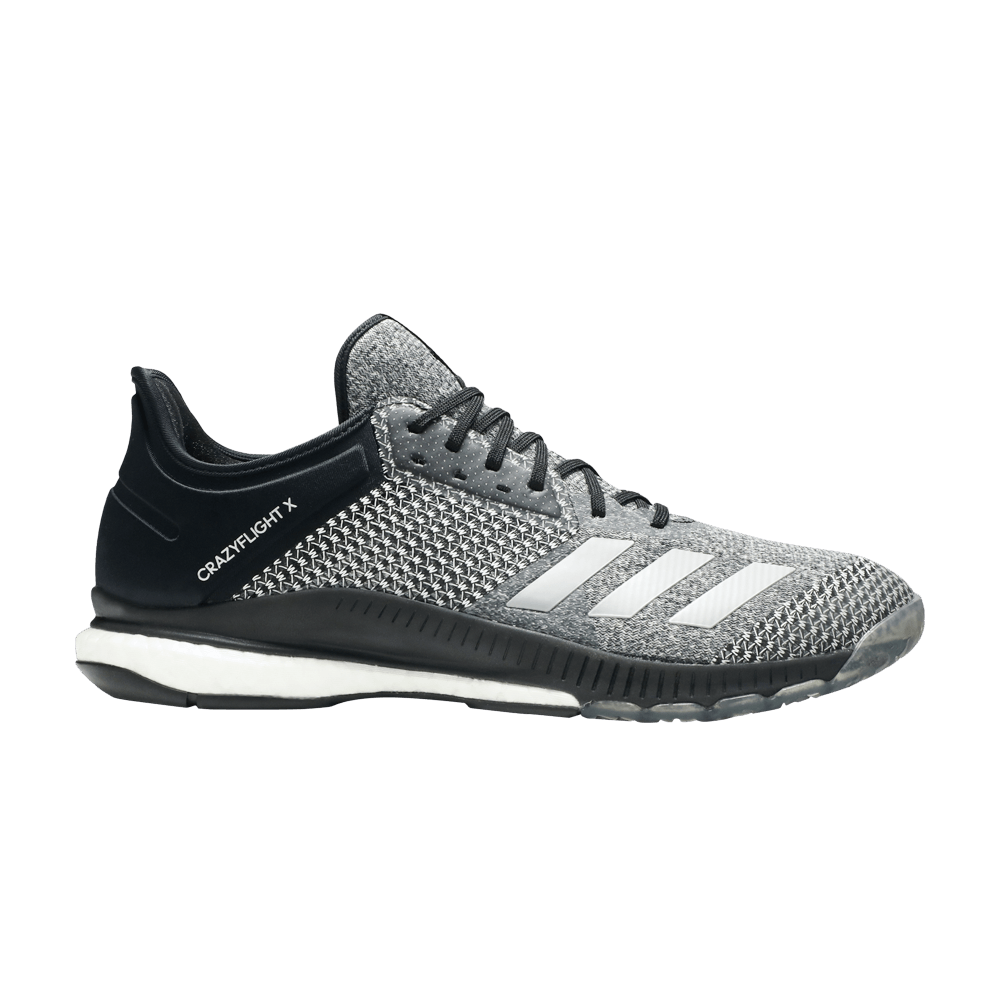 wmns-crazyflight-x-2-black-silver-metallic-cp8900