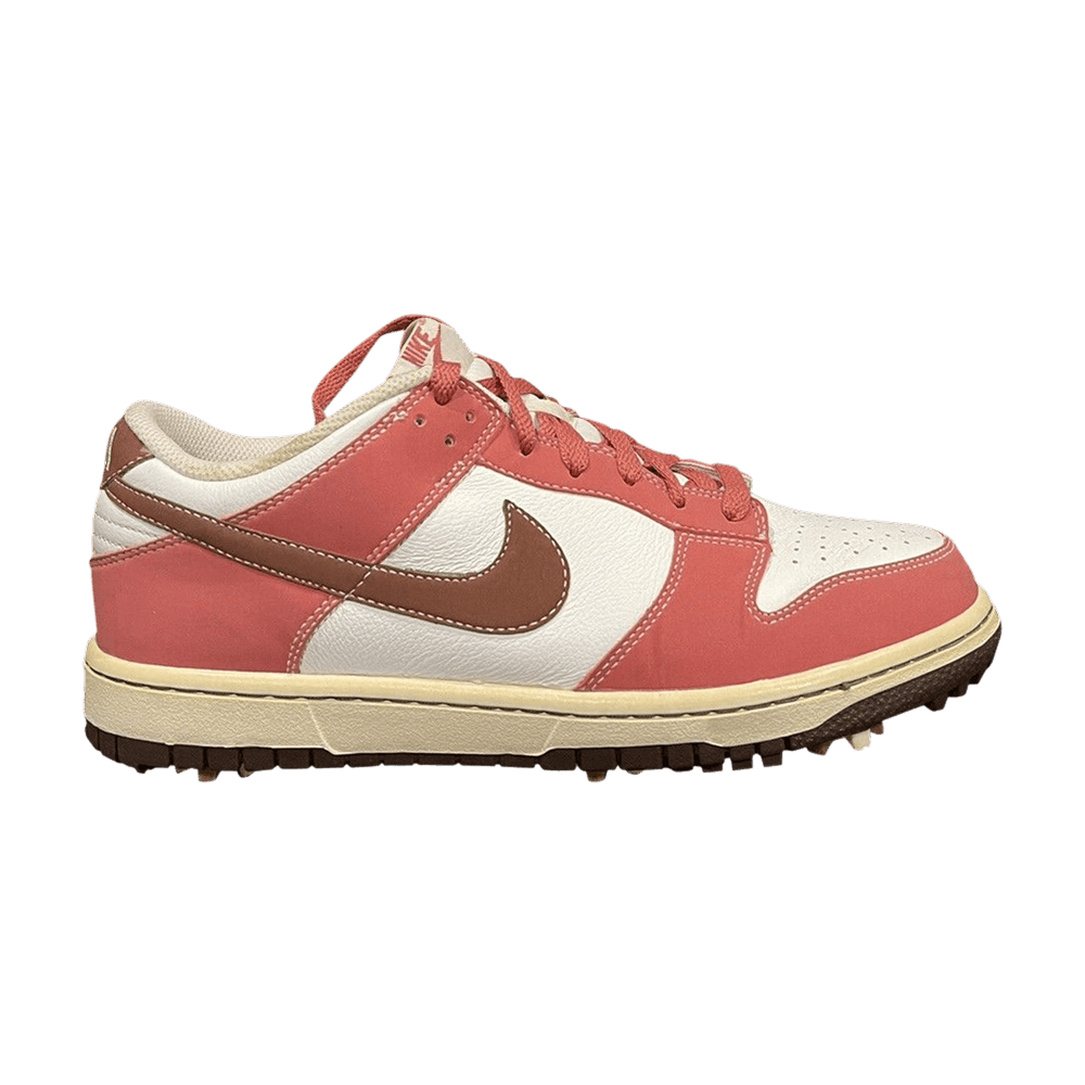 Кроссовки Nike Wmns Dunk NG 'White Redwood'
