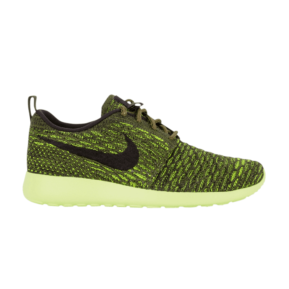 wmns-roshe-one-flyknit-rough-green-704927-301
