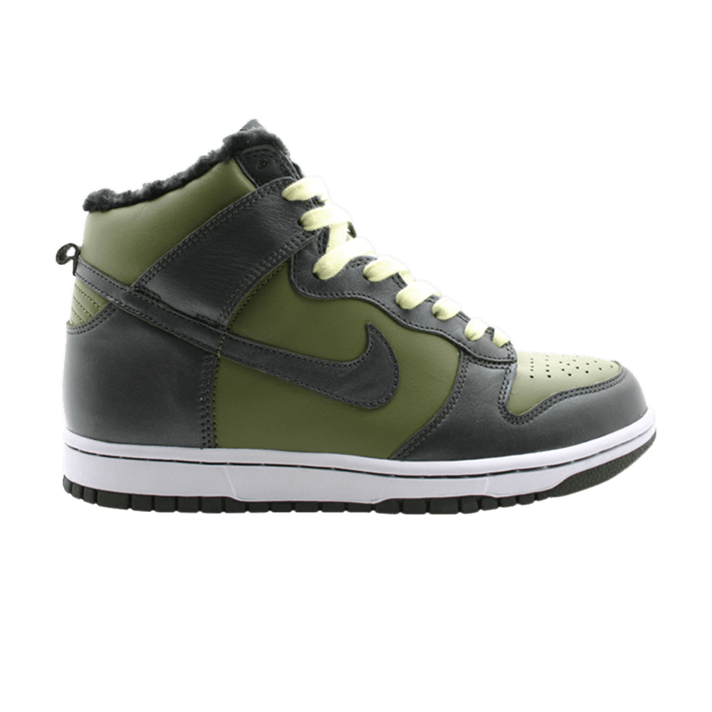 Кроссовки Nike Wmns Dunk Hi