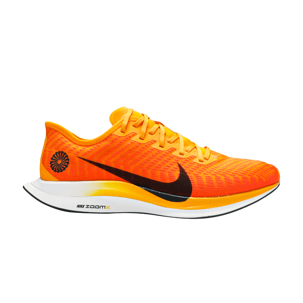 zoom-pegasus-turbo-2-blue-ribbon-sports-ck9661-800