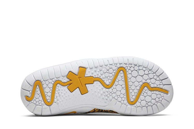 Кроссовки Nike Wmns Zoom Pulse 'Doernbecher - Zion'