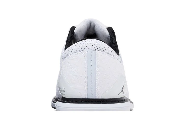 Кроссовки Air Jordan ADG 5 'White Black Pure Platinum'