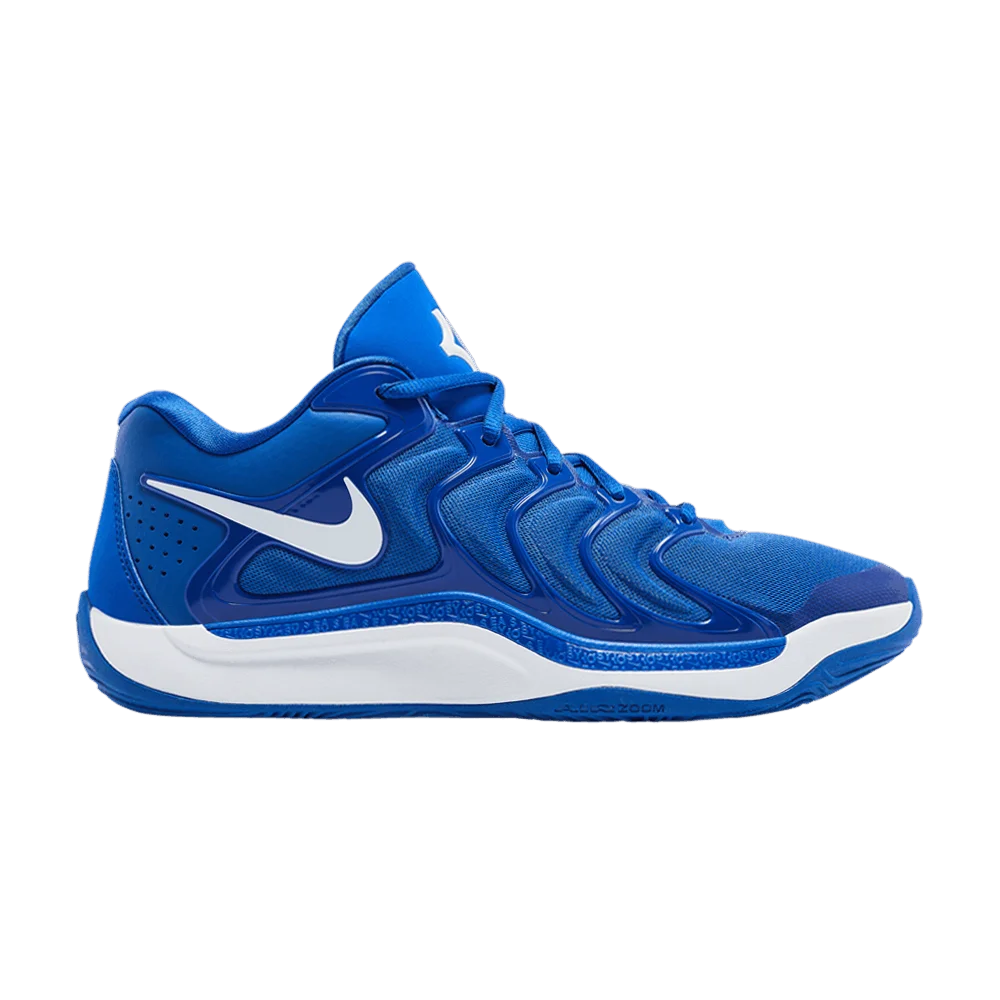 Кроссовки Nike KD 17 TB Promo 'Game Royal'