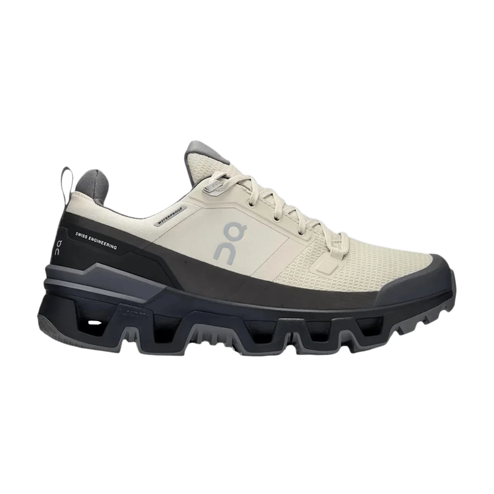 Кроссовки ON Wmns Cloudwander Waterproof 'Sand Black'