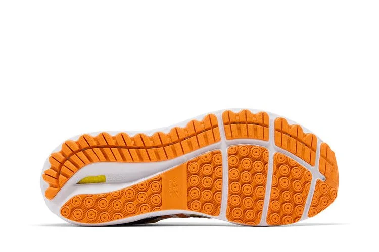 Krossovki-Pieter-Ceizer-x-Mizuno-Wave-Skyrise-Amsterdam-3