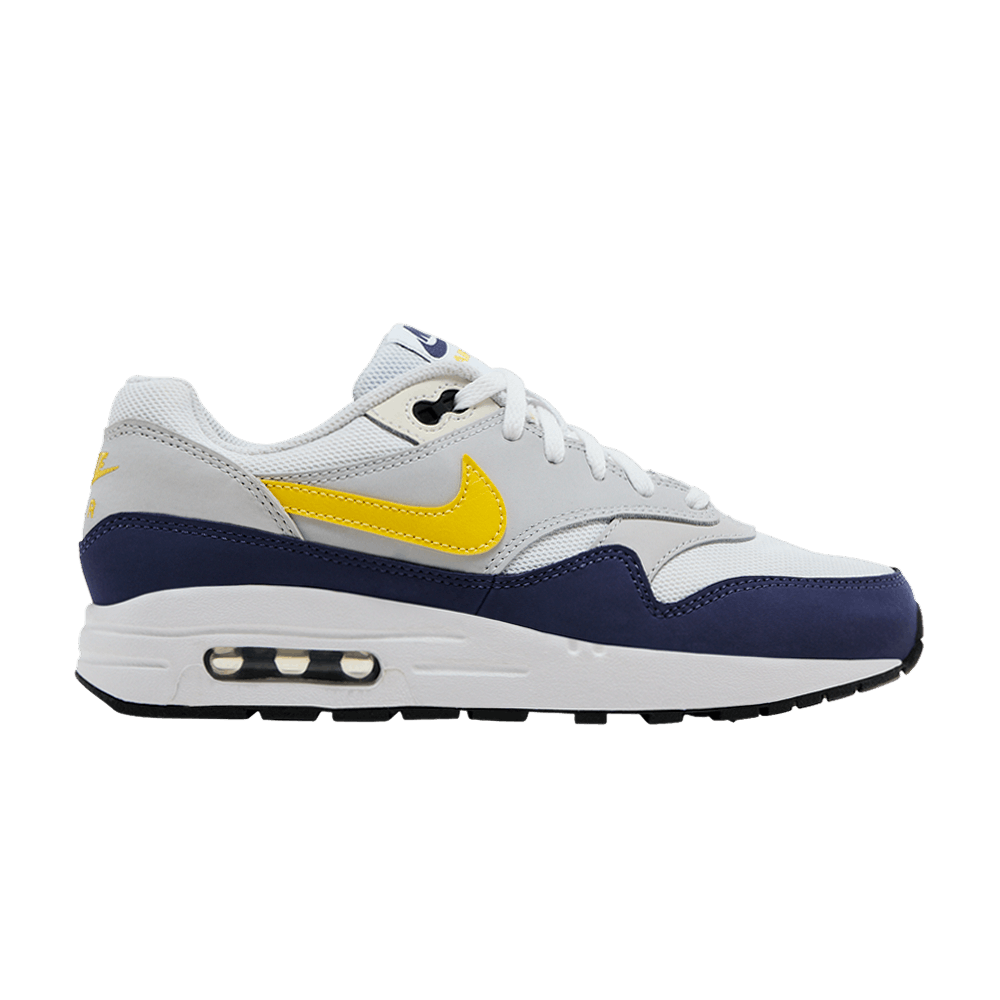 air-max-1-gs-blue-recall-dz3307-107