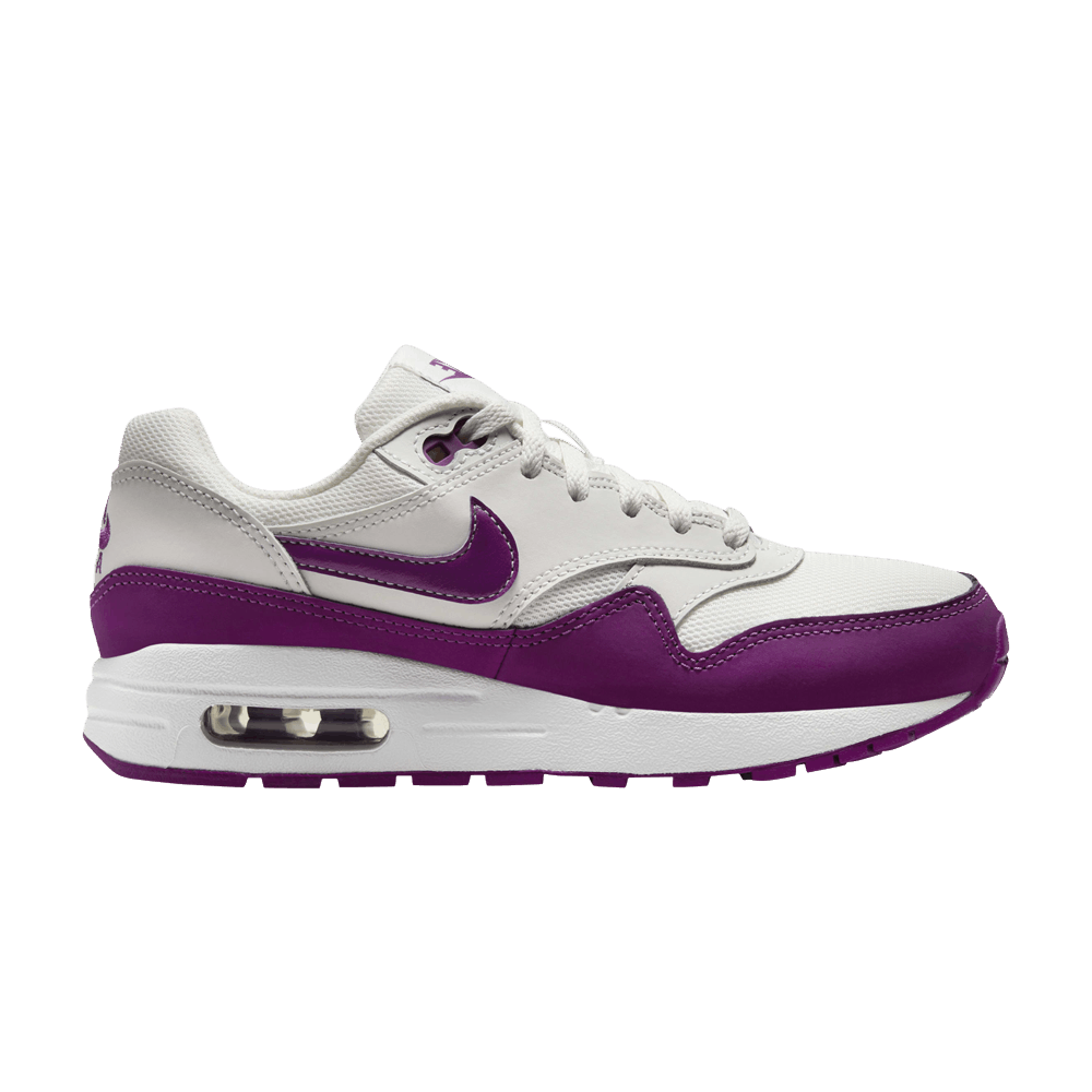 air-max-1-gs-white-viotech-dz3307-109
