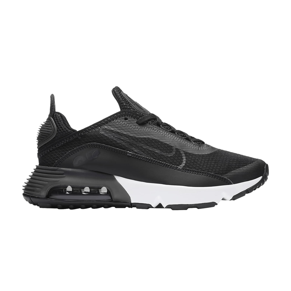 air-max-2090-black-wolf-grey-dd3236-001