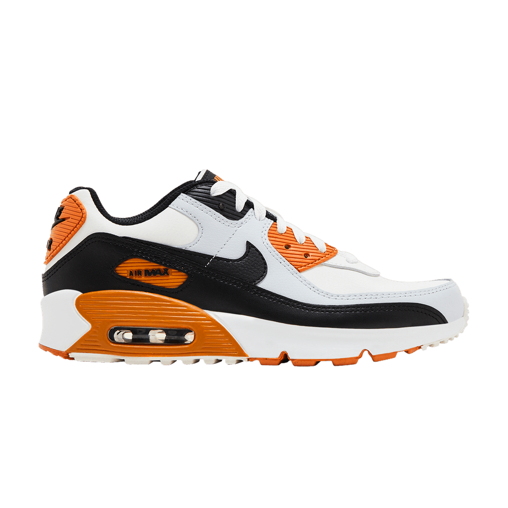 Кроссовки Nike Air Max 90 GS 'Monarch'