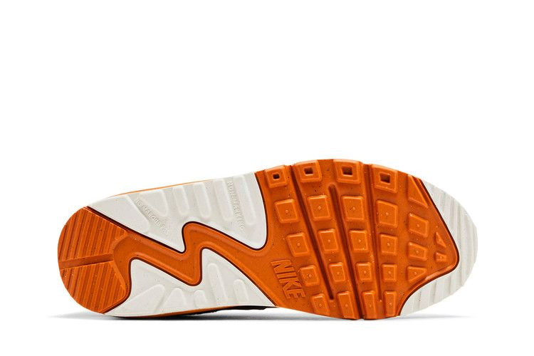 Кроссовки Nike Air Max 90 GS 'Monarch'