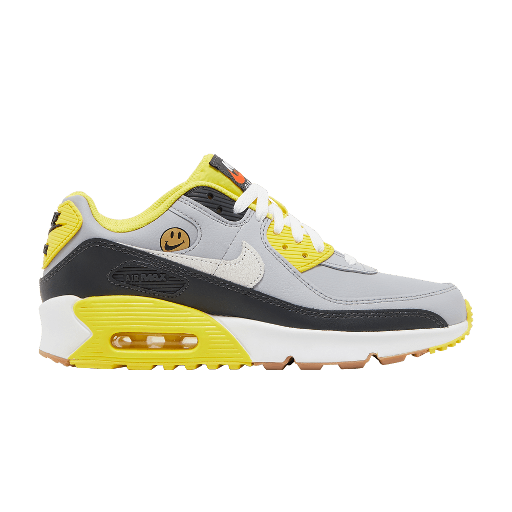 Кроссовки Nike Air Max 90 Leather GS 'Go The Extra Smile'