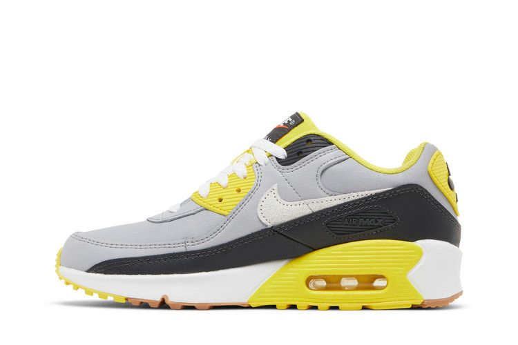 Кроссовки Nike Air Max 90 Leather GS 'Go The Extra Smile'