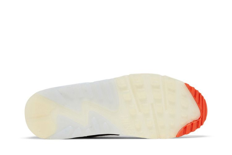 Кроссовки Nike Air Max 90 'Set To Rise'