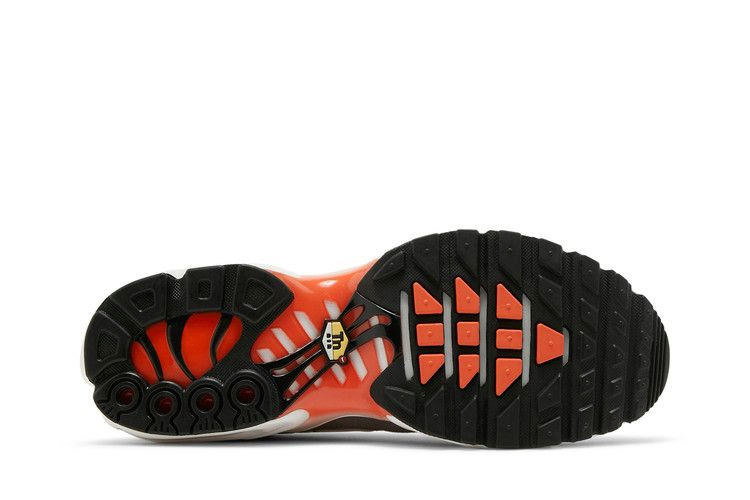 Кроссовки Nike Air Max Plus 'First Use'