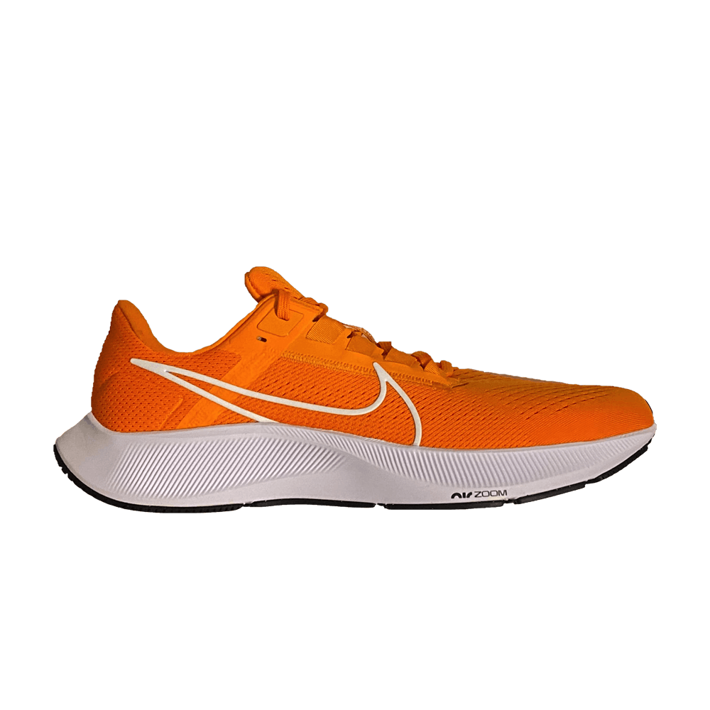 air-zoom-pegasus-38-tb-bright-ceramic-cz1893-800